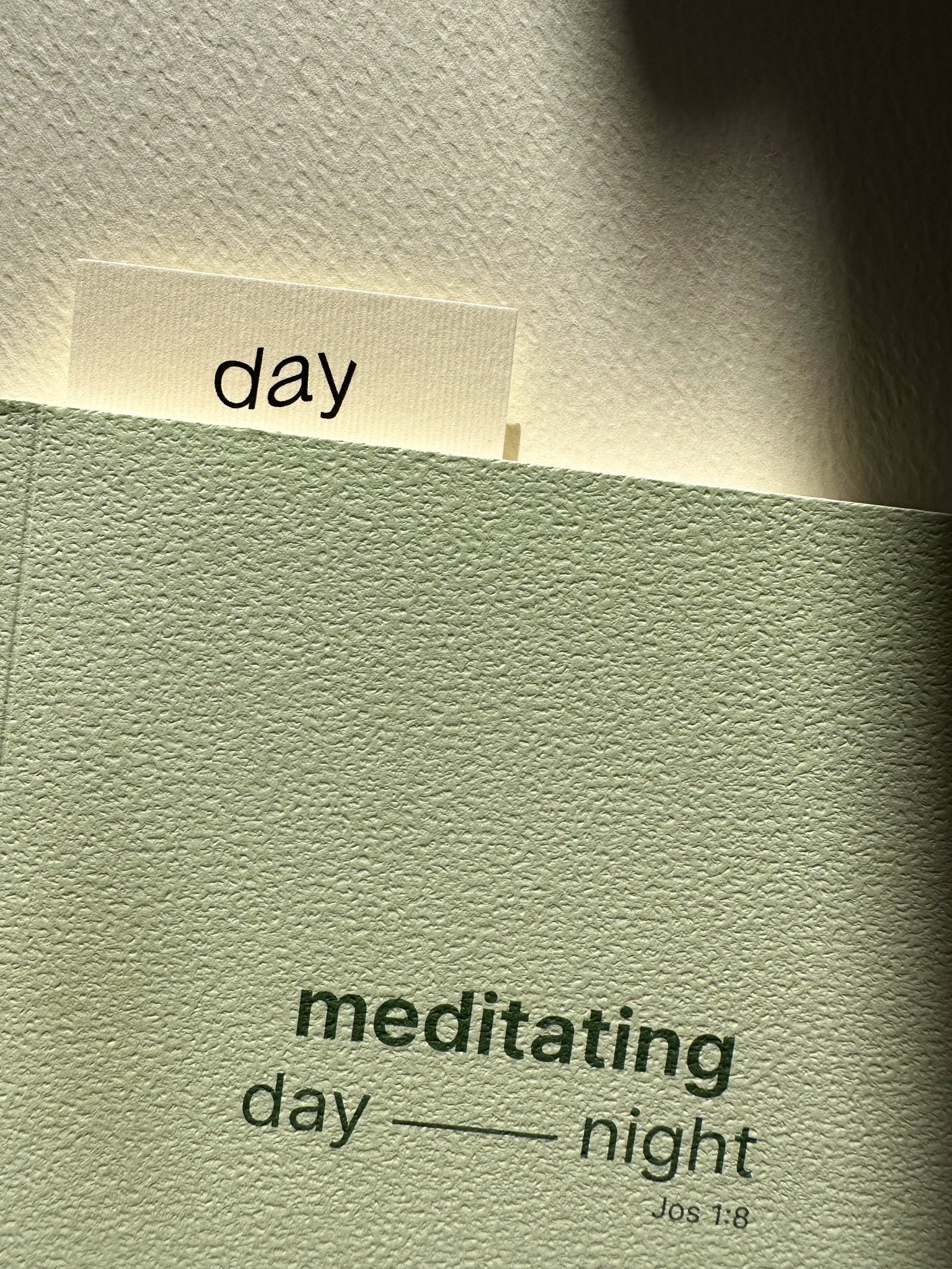 Pistachio Day & Night Notebook