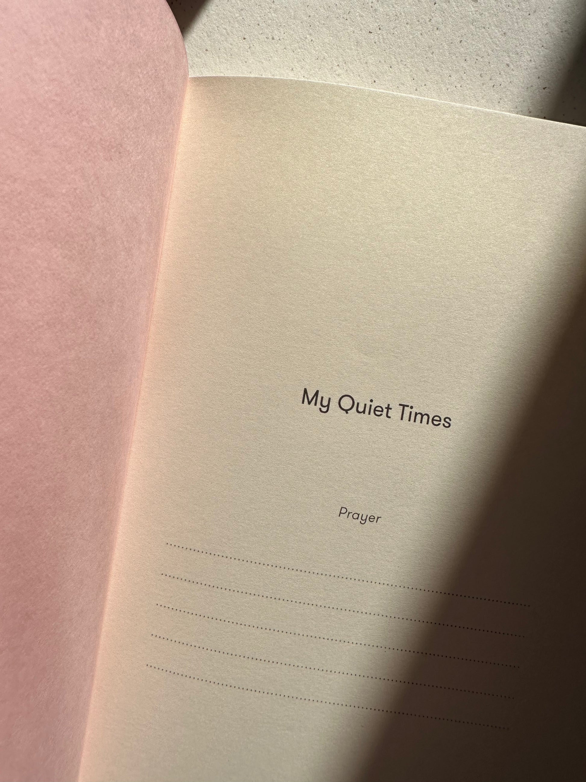 Pink Day & Night Notebook