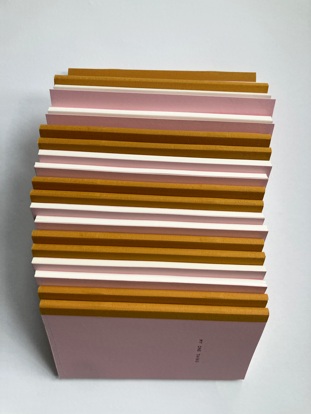 My One Thing Notebook