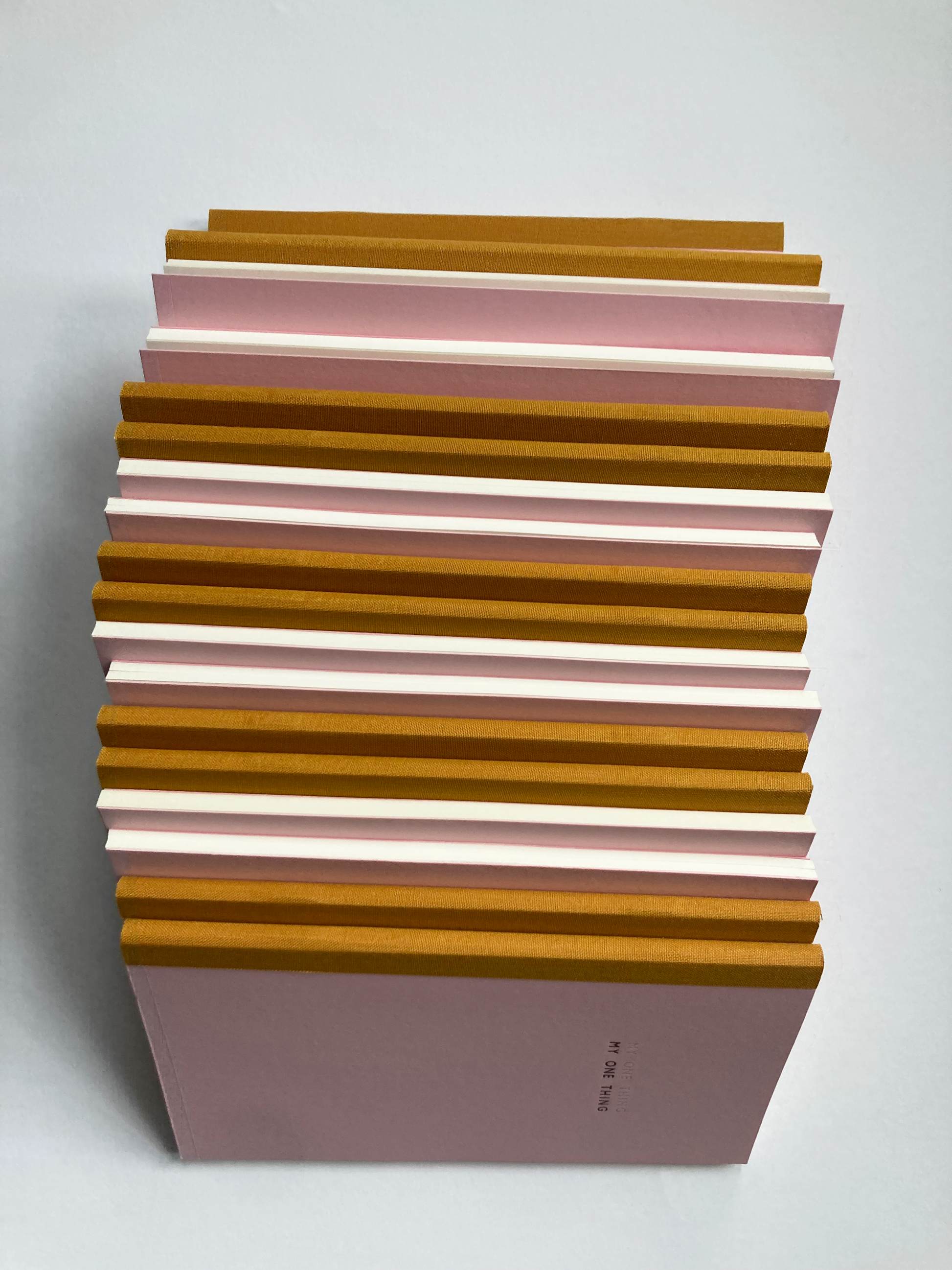 My One Thing Notebook