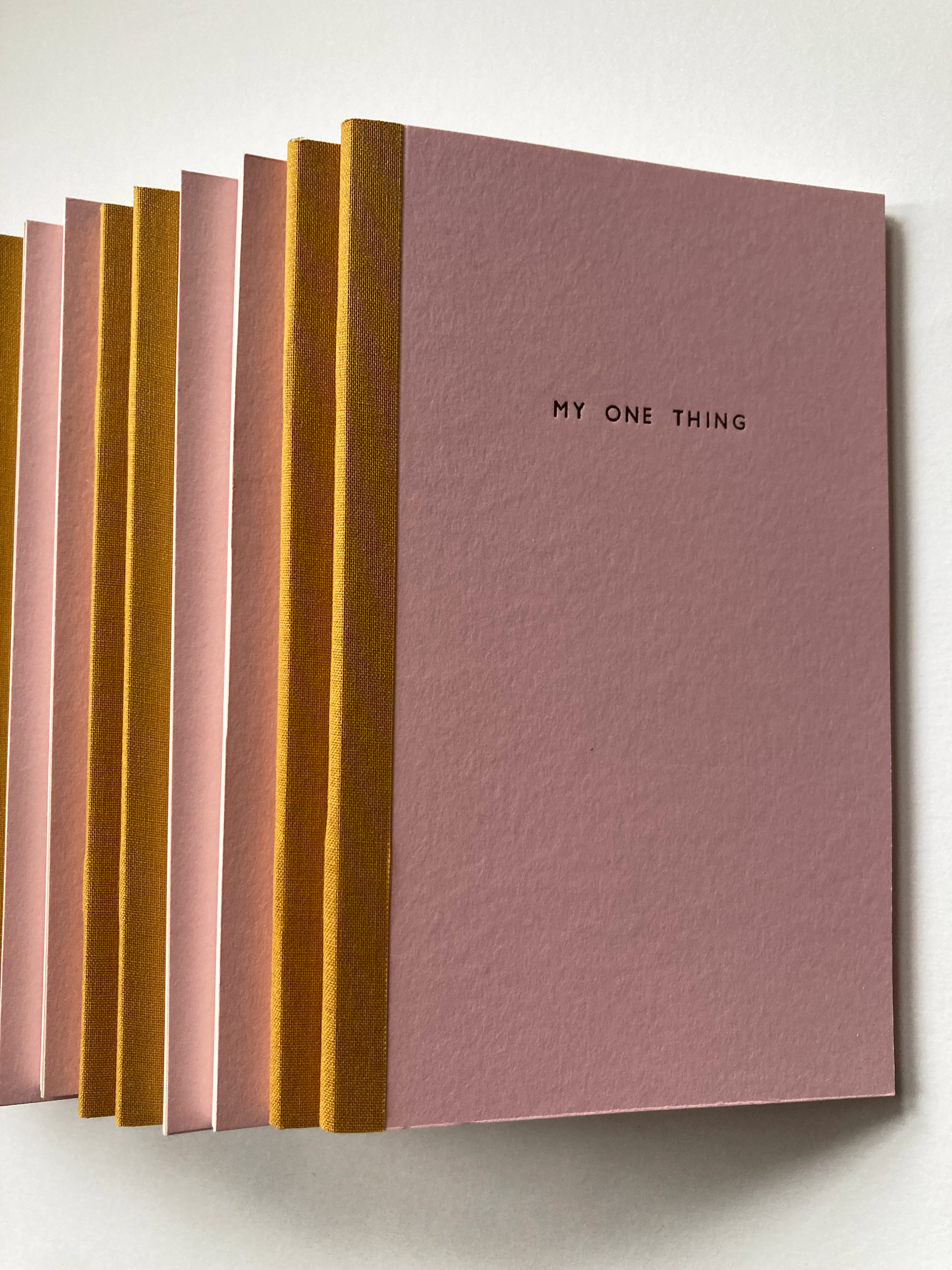 My One Thing Notebook